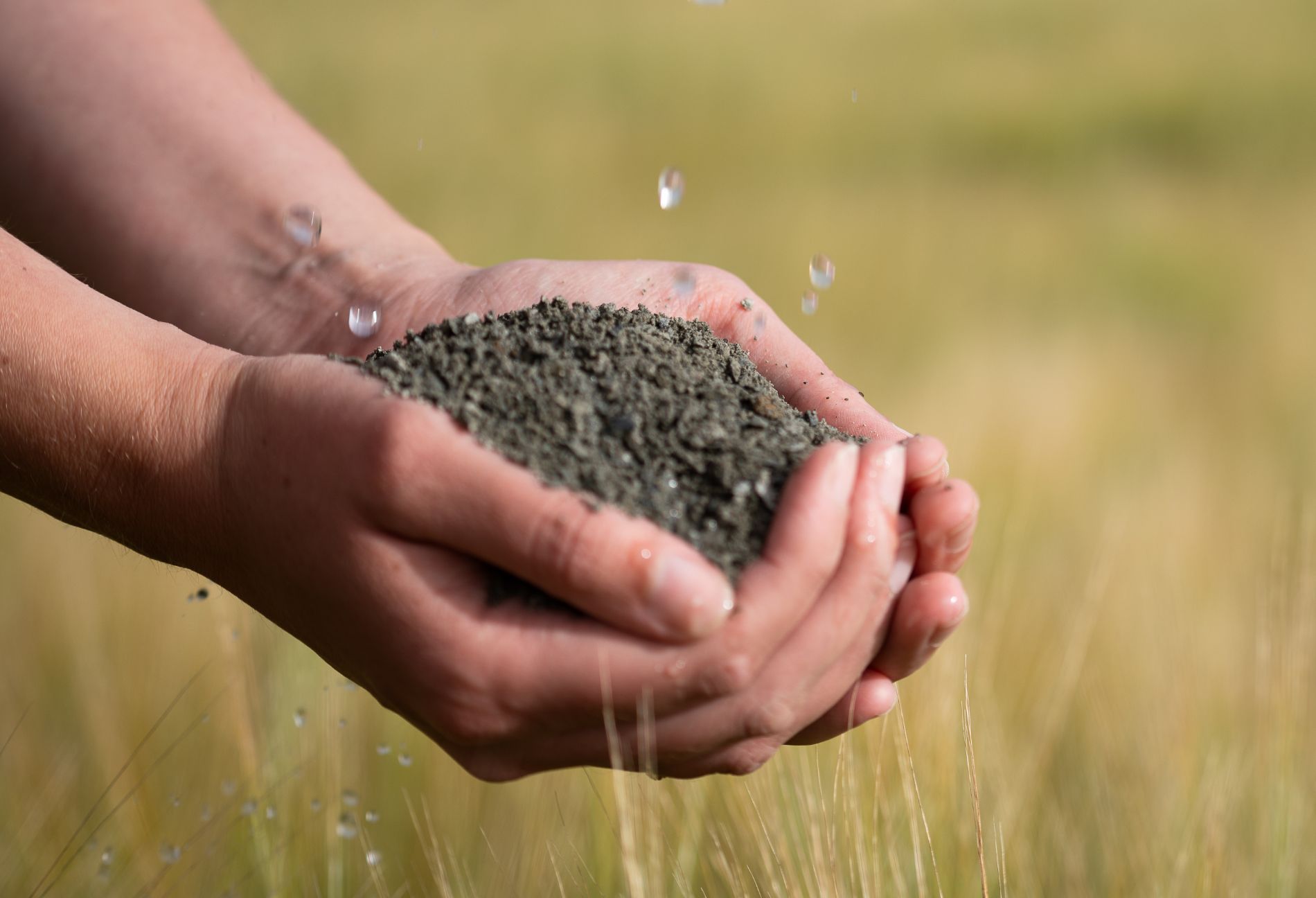 Hands holding a handful of crushed basalt rock, with water droplets falling onto it, set against a blurred grassy field background. The basalt rock is used for enhanced rock weathering, a process in carbon removal.