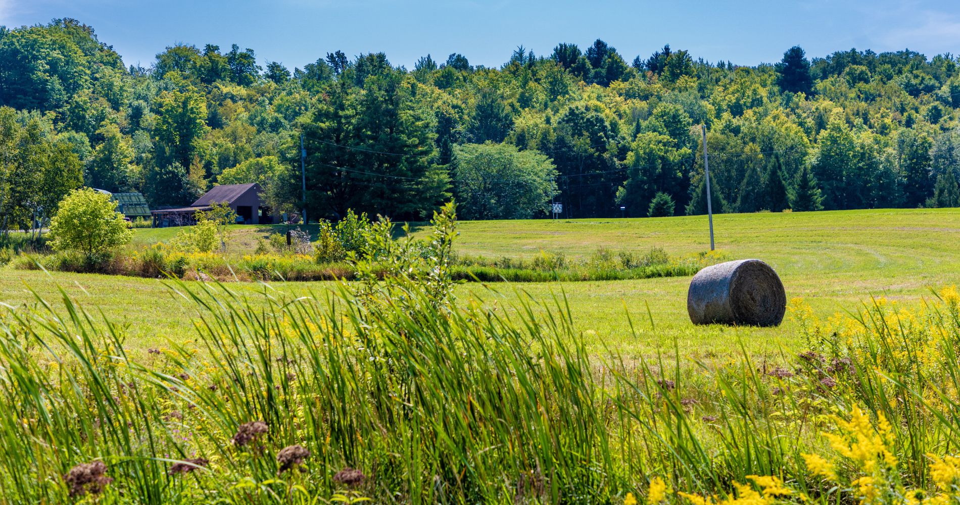 A scenic view of a green, open field with a round hay bale in the foreground and a barn nestled among dense, leafy trees in the background, representing sustainable land use and rural carbon storage potential.