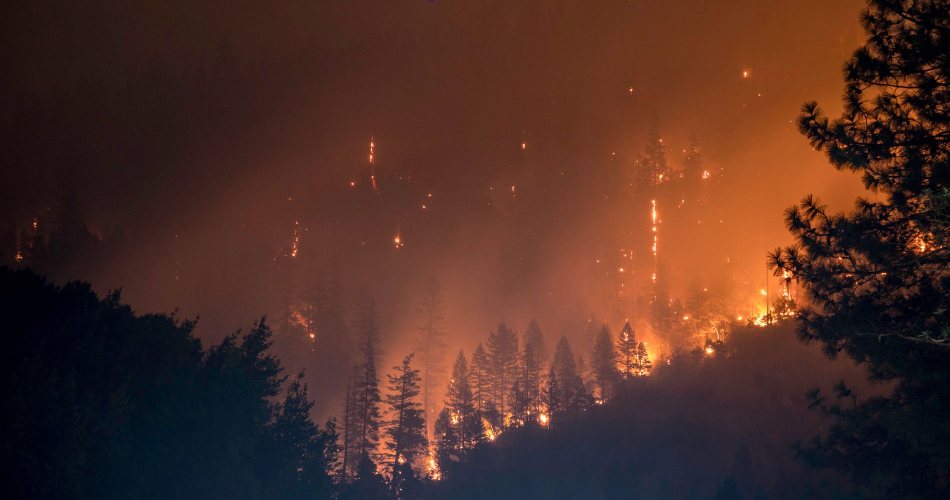 A forest engulfed in flames at night, with thick smoke and trees silhouetted against an orange glow, highlighting the impact of wildfires on carbon emissions and the environment.